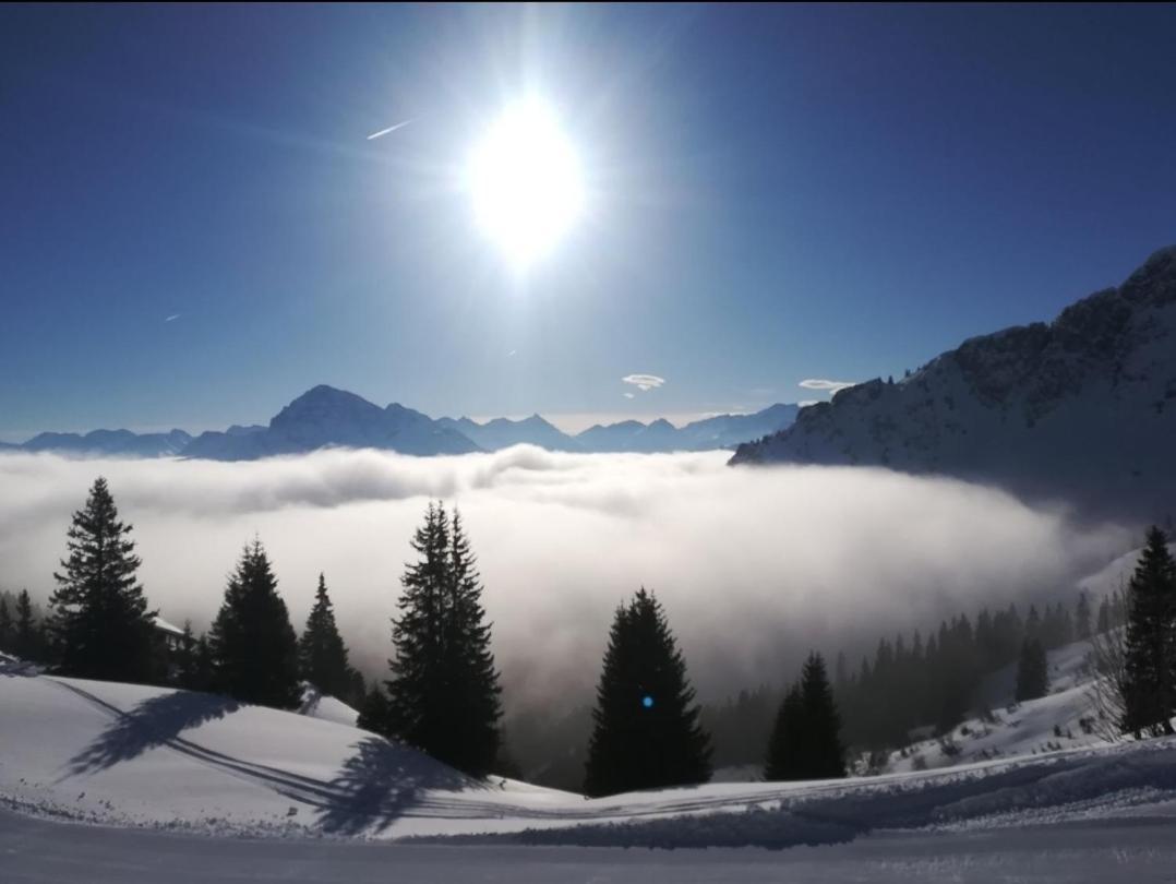 Breitenwang Panoramablick 아파트 외부 사진