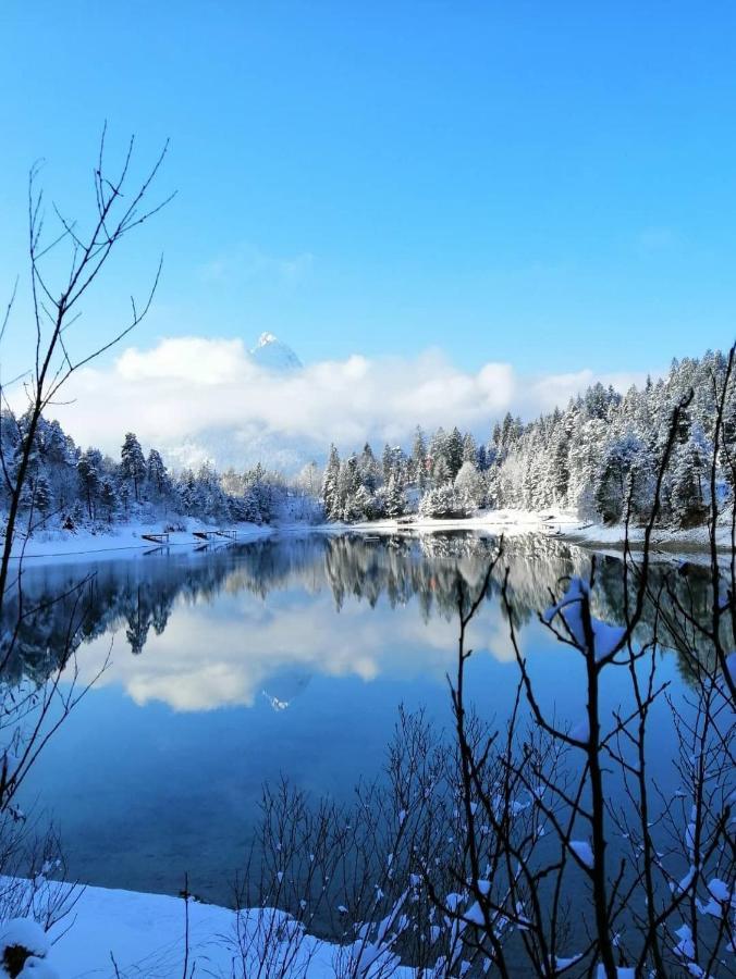 Breitenwang Panoramablick 아파트 외부 사진