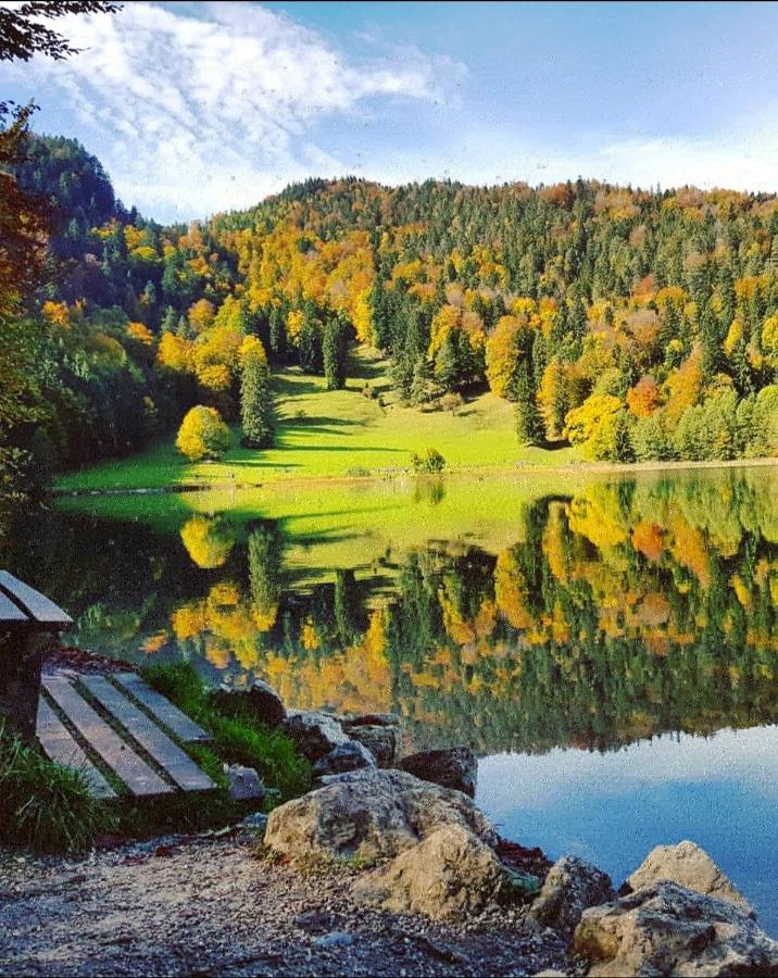 Breitenwang Panoramablick 아파트 외부 사진